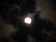 wp072b8127_02.jpg