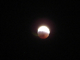 wp138a1527_02.jpg