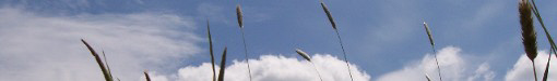 wp19921017_02.jpg