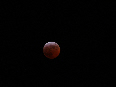 wp1c788653_02.jpg