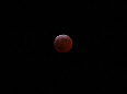 wp3b1c9929_02.jpg