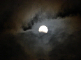 wp75912ef9_02.jpg