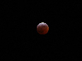 wp7b9d2430_02.jpg