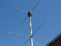 wpd40d3c19_02.jpg