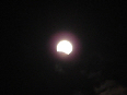 wpe479996b_02.jpg